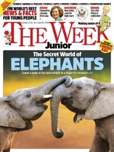 1700844235 the week junior usa 12 1 2023 downmagaz net