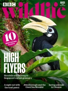 BBC Wildlife Magazine - March 2024 English | 100 pages | True PDF | 48.1 MB