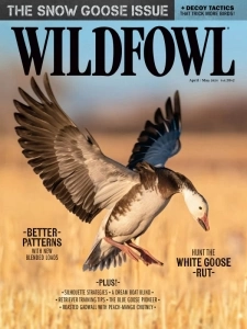 Wildfowl - April/May 2024 English | 68 pages | True PDF | 70.3 MB