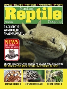 Practical Reptile Keeping - February 2024 English | 68 pages | True PDF | 32.8 MB