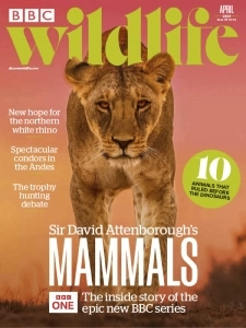 BBC Wildlife Magazine - April 2024 English | 100 pages | True PDF | 52.5 MB
