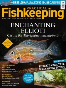 Practical Fishkeeping - May 2024 English | 84 pages | True PDF | 43.3 MB