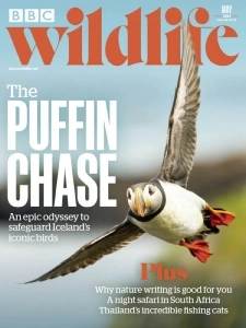 BBC Wildlife Magazine - May 2024 English | 100 pages | True PDF | 58.3 MB