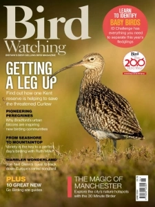 Bird Watching UK - June 2024 English | 100 pages | True PDF | 51.3 MB