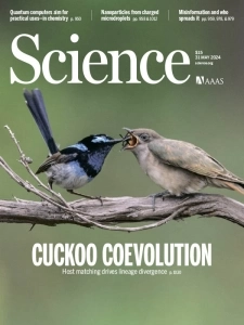 科学杂志PDF下载 Science Magazine 2024年5月31日刊