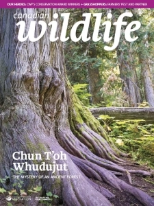 Canadian Wildlife - July/August 2024 English | 48 pages | True PDF | 11.6 MB