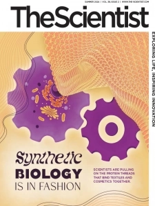 科学家杂志PDF下载 The Scientist 2024年夏季刊