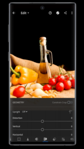 安卓app破解版Lightroom Photo & Video Editor v9.1.1 [Premium] [Mod Extra]