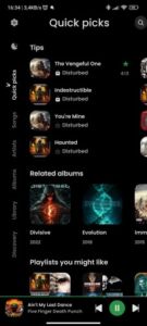 RiMusic (YouTube Music Client)