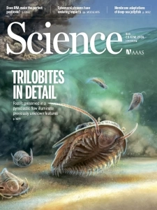 科学杂志PDF下载 Science Magazine 2024年6月28日刊
