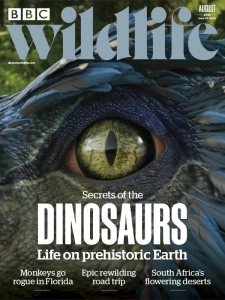 BBC Wildlife - August 2024 English | 100 pages | True PDF | 63.2 MB