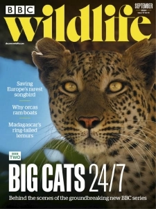 BBC Wildlife - September 2024