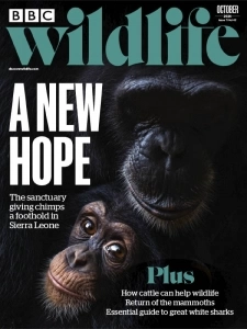 BBC Wildlife - October 2024 English | 100 pages | True PDF | 61.4 MB