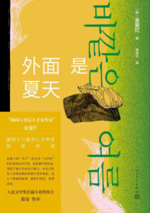 外面是夏天 金爱烂