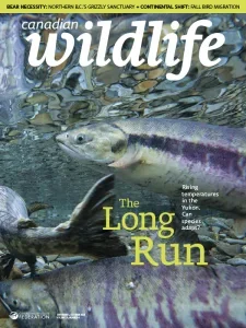 Canadian Wildlife - January/February 2025 English | 48 pages | True PDF | 12.4 MB