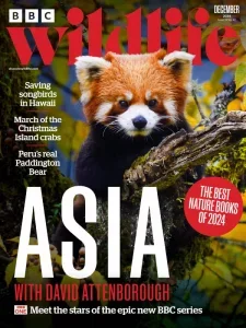 BBC Wildlife Magazine - December 2024 English | 100 pages | True PDF | 56.4 MB