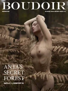 Boudoir Inspiration - December 2024 Artistic Nude Issue English | 72 pages | True PDF | 49.7 MB