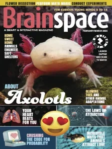 Brainspace - February/March 2025 English | 40 pages | True PDF | 105.7 MB