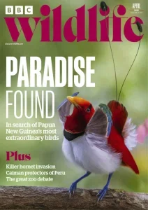 BBC Wildlife - April 2025