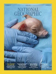 National Geographic UK 国家地理杂志PDF下载 2025年6月刊