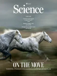 科学杂志PDF下载 Science Magazine 2025年5月15日刊
