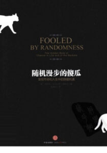 随机漫步的傻瓜电子书