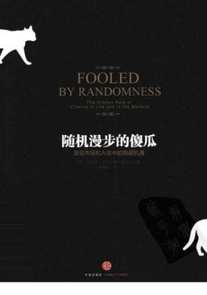 随机漫步的傻瓜电子书