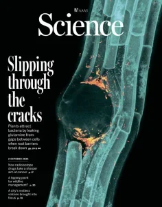 科学杂志PDF下载 Science Magazine 2025年10月2日刊