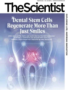 科学家杂志PDF下载 The Scientist 2025年冬季刊