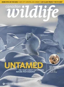加拿大野生动物PDF Canadian Wildlife 2026年3/4月刊:年度自然摄影之美 15 加拿大野生动物PDF Canadian Wildlife 2026年3/4月刊:年度自然摄影之美