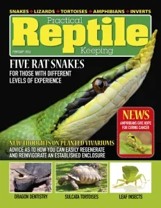 Practical Reptile Keeping