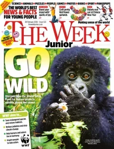 青年周刊英国版PDF The Week Junior UK 2026年2月28日刊:走向野外保护野生动物 2 The Week Junior UK