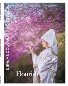 Professional Photographer