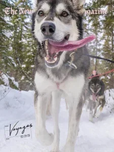 The New York Times Magazine