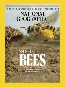 国家地理英国版PDF National Geographic UK 2026年5月刊：蜜蜂的隐藏天才与自然奇观封面